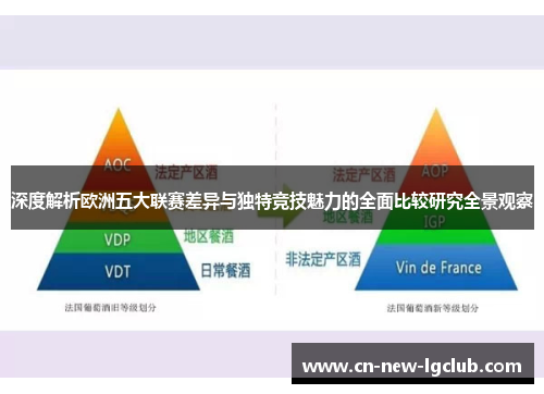 深度解析欧洲五大联赛差异与独特竞技魅力的全面比较研究全景观察