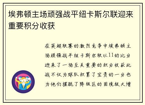 埃弗顿主场顽强战平纽卡斯尔联迎来重要积分收获